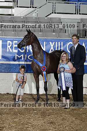 Proof Number 10r13_0109