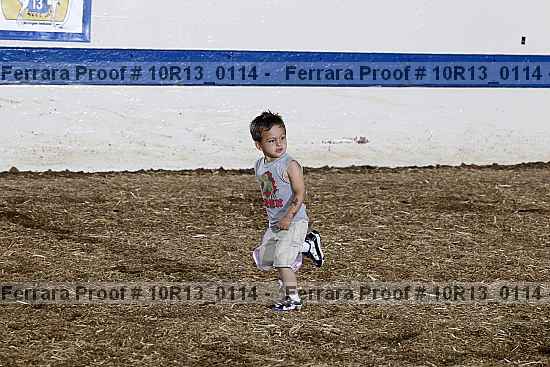 Proof Number 10r13_0114