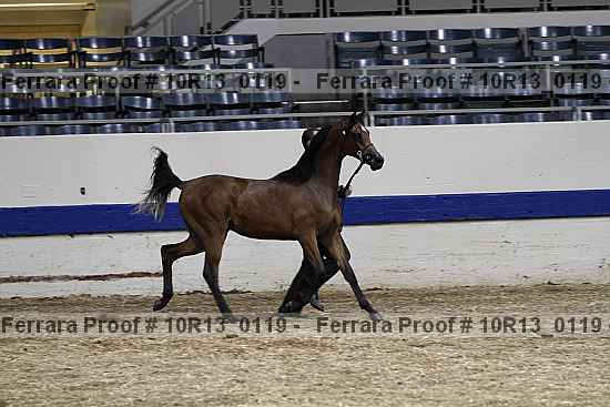 Proof Number 10r13_0119