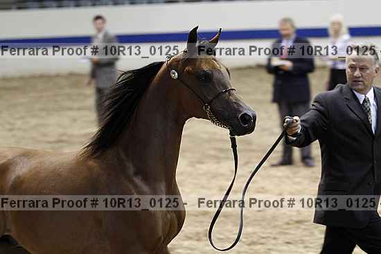 Proof Number 10r13_0125
