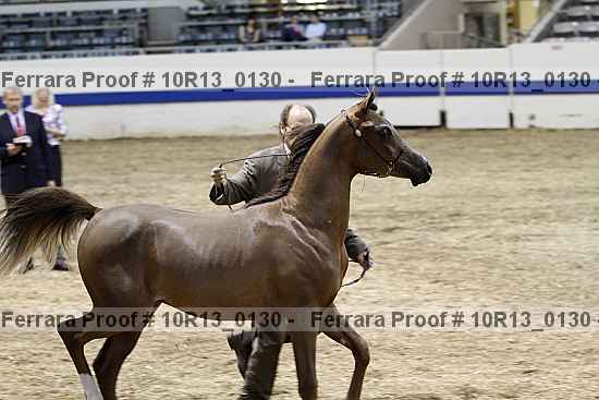 Proof Number 10r13_0130