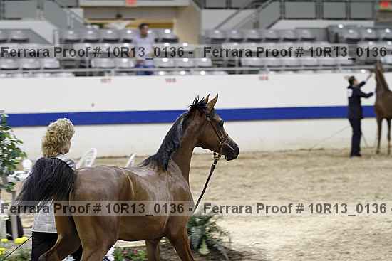 Proof Number 10r13_0136