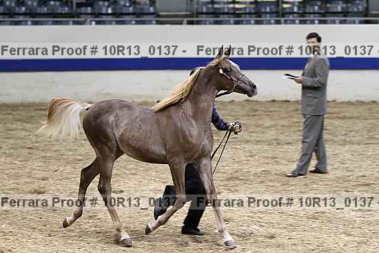 Proof Number 10r13_0137