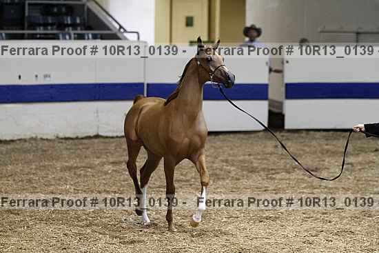 Proof Number 10r13_0139