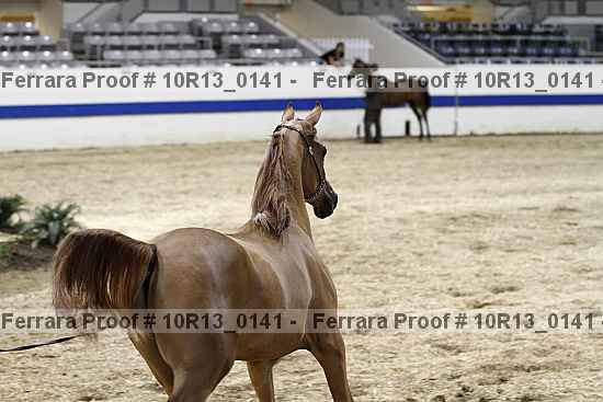 Proof Number 10r13_0141