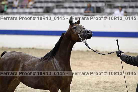Proof Number 10r13_0145