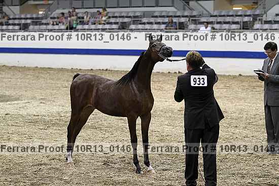 Proof Number 10r13_0146