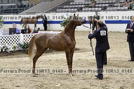 Proof Number 10r13_0148