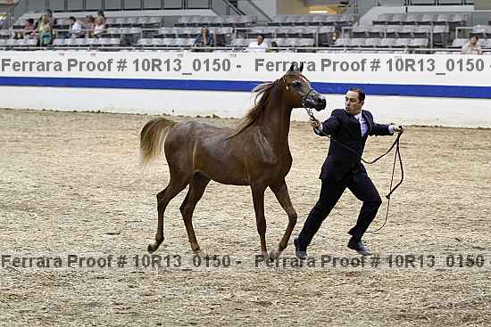 Proof Number 10r13_0150