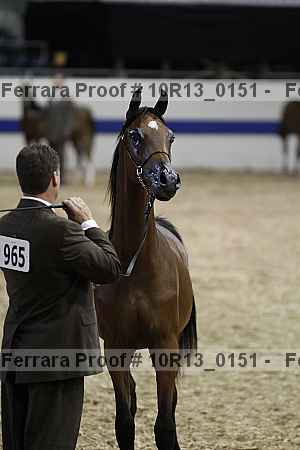 Proof Number 10r13_0151