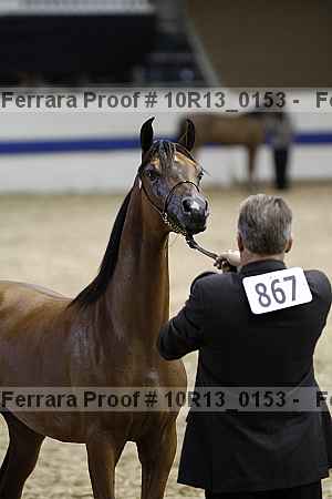 Proof Number 10r13_0153