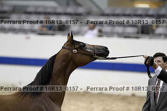 Proof Number 10r13_0157