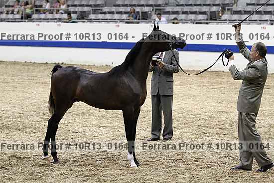 Proof Number 10r13_0164