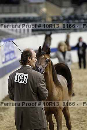 Proof Number 10r13_0166