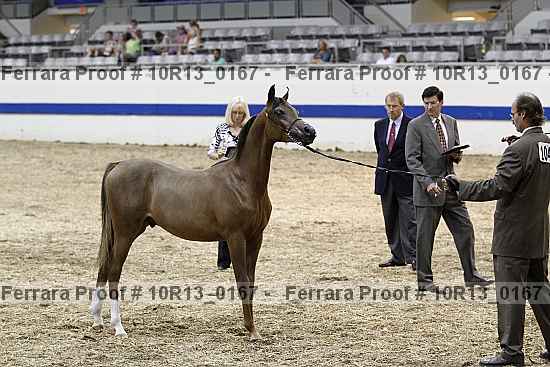 Proof Number 10r13_0167