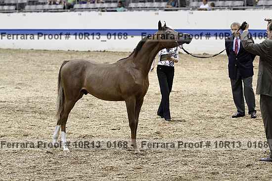 Proof Number 10r13_0168