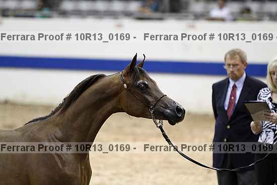 Proof Number 10r13_0169