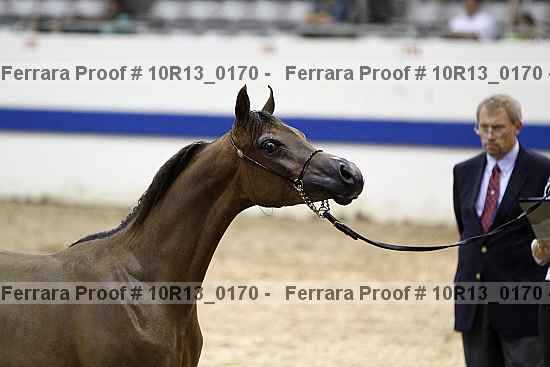 Proof Number 10r13_0170