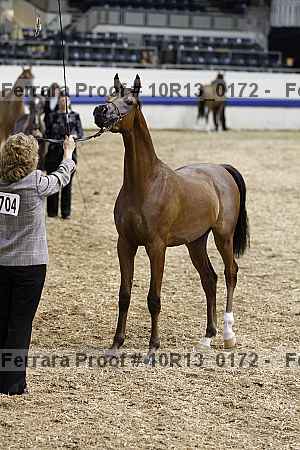 Proof Number 10r13_0172