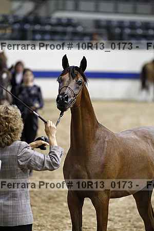 Proof Number 10r13_0173
