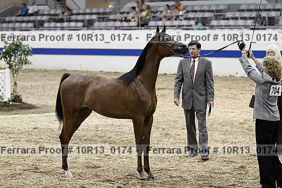 Proof Number 10r13_0174