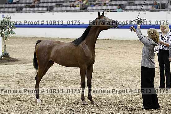 Proof Number 10r13_0175