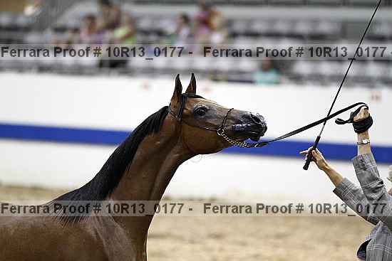 Proof Number 10r13_0177