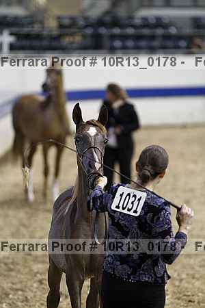 Proof Number 10r13_0178