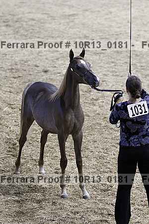 Proof Number 10r13_0181
