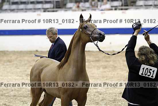 Proof Number 10r13_0182