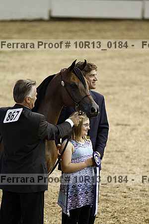 Proof Number 10r13_0184