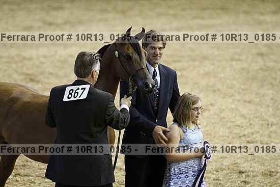 Proof Number 10r13_0185