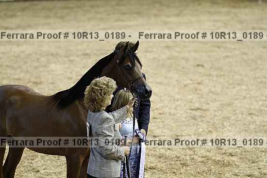 Proof Number 10r13_0189
