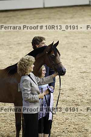 Proof Number 10r13_0191