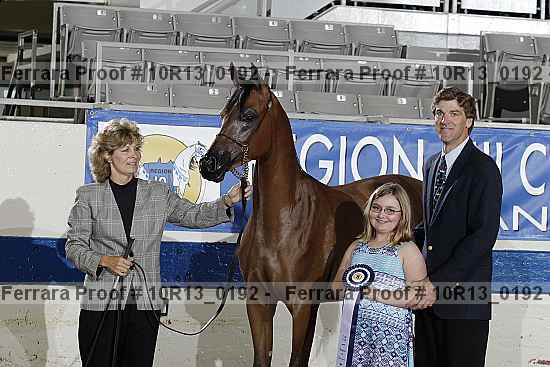 Proof Number 10r13_0192