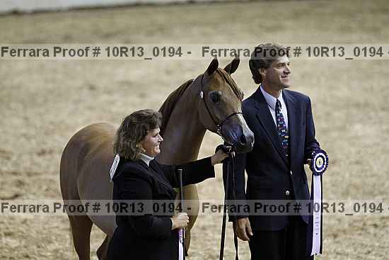 Proof Number 10r13_0194