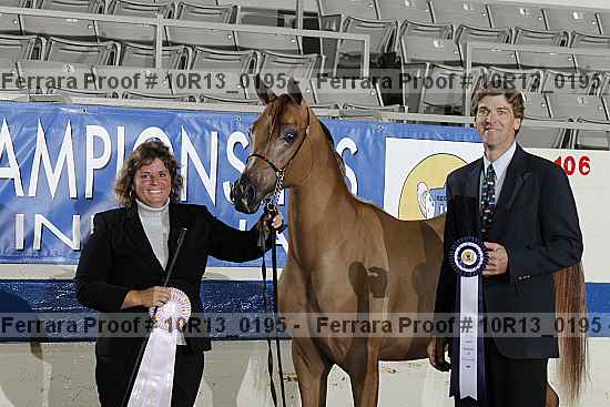 Proof Number 10r13_0195