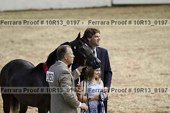 Proof Number 10r13_0197