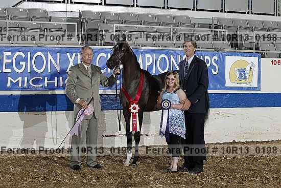 Proof Number 10r13_0198