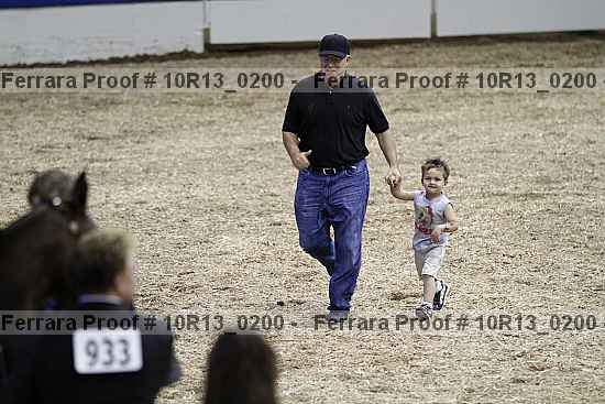 Proof Number 10r13_0200