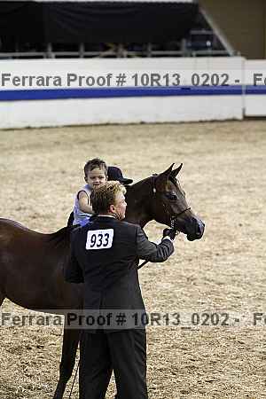 Proof Number 10r13_0202