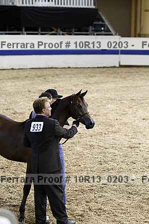Proof Number 10r13_0203