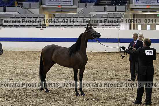 Proof Number 10r13_0214