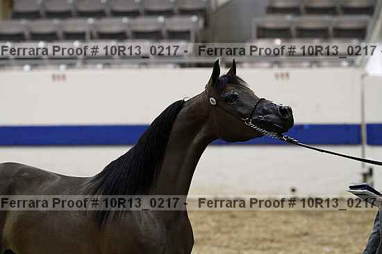 Proof Number 10r13_0217