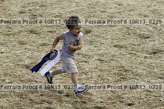 Proof Number 10r13_0229