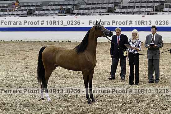 Proof Number 10r13_0236
