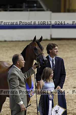 Proof Number 10r13_0241