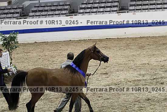 Proof Number 10r13_0245