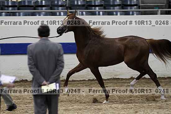 Proof Number 10r13_0248