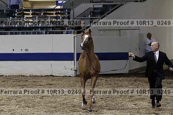 Proof Number 10r13_0249
